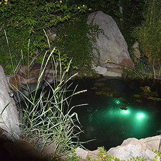 Jezírko u apartmánu A8 - Green Stone Lipno